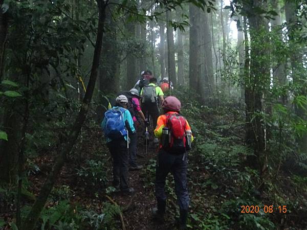 2020_748.08.15(鹿坑山~大窩山)_200818.jpg