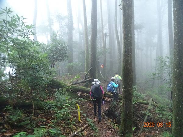 2020_751.08.15(鹿坑山~大窩山)_200818.jpg