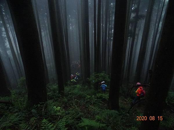 2020_812.08.15(鹿坑山~大窩山)_200818.jpg