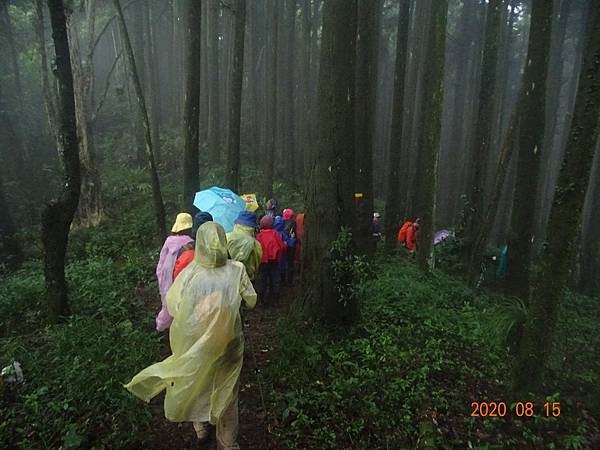 2020_828.08.15(鹿坑山~大窩山)_200818.jpg