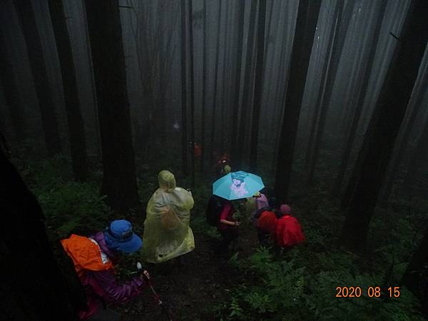 2020_839.08.15(鹿坑山~大窩山)_200818.jpg