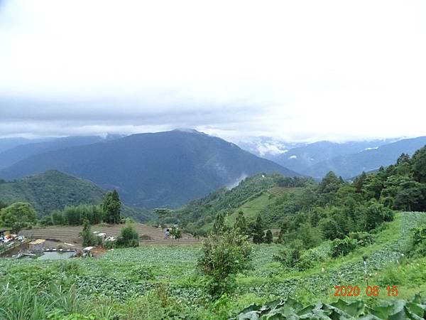 2020_863.08.15(鹿坑山~大窩山)_200818.jpg