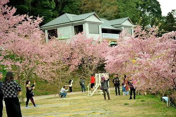 2021櫻花祭_210316_28.jpg