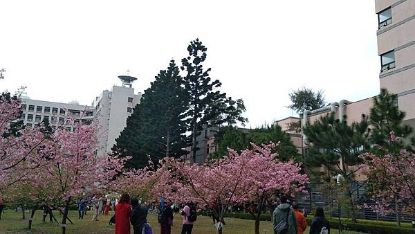 中央大學_210317_7.jpg