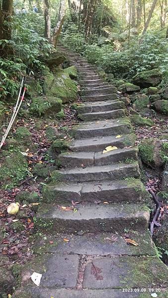 ★[新北平溪] 孝子山登山步道(孝子山-慈母峰-普陀山)