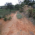 大茅埔山登山口