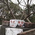 800-IMG_0274.jpg