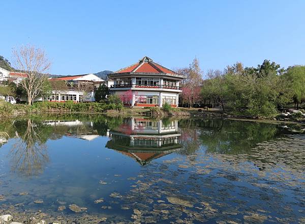 苗栗泰安賞花一日遊