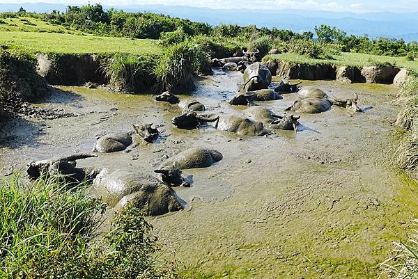 荷蘭古道、高頂山、北五指山、杏林山、頂山、風櫃嘴 水牛澡堂、
