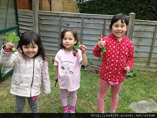 S__20029444 S__20029444