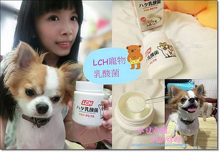 【心得】LCH寵物專用乳酸菌,一罐抵多罐~讓毛孩擁有清新好口氣還可以保持消化道、皮膚健康,豆豆頭好壯壯就靠它!(內有影片) 【心得】LCH寵物專用乳酸菌,一罐抵多罐~讓毛孩擁有清新好口氣還可以保持消化道、皮膚健康,豆豆頭好壯壯就靠它!(內有影片)