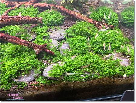 IMG_2874.jpg IMG_2874.jpg