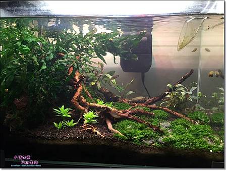 IMG_2875.jpg IMG_2875.jpg