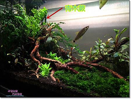 IMG_3320.jpg IMG_3320.jpg