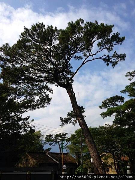 松林別館