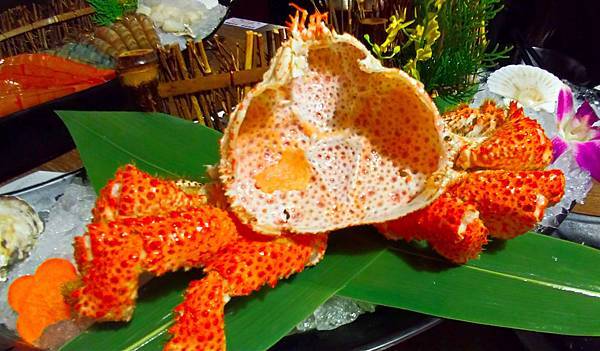 未命名 (25-38).jpg