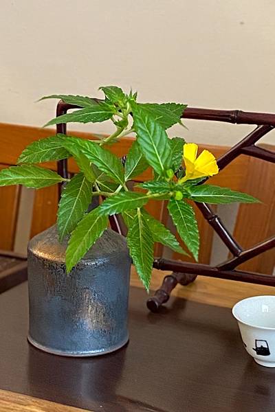 S__70336540.jpg