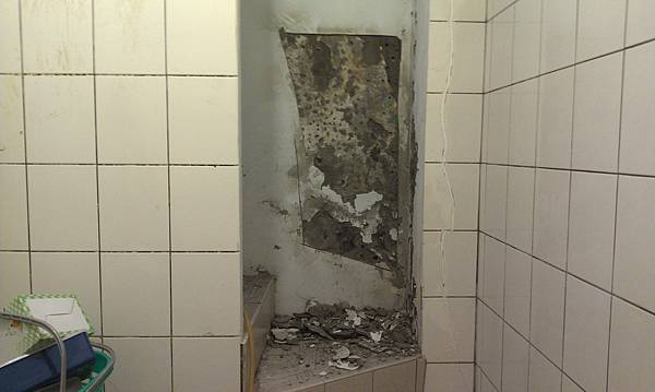 IMAG0236.jpg IMAG0236.jpg