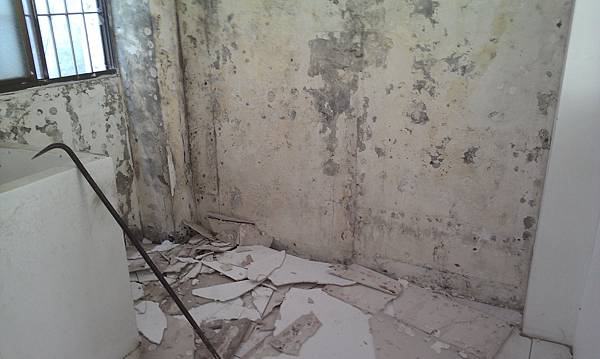 IMAG0241.jpg IMAG0241.jpg