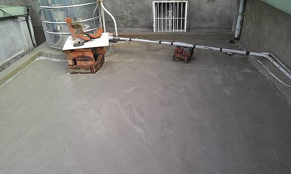 IMAG0242.jpg IMAG0242.jpg