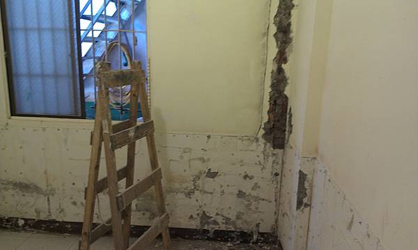 IMAG0240.jpg IMAG0240.jpg