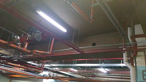 P_20160603_142625 (1).jpg P_20160603_142625 (1).jpg