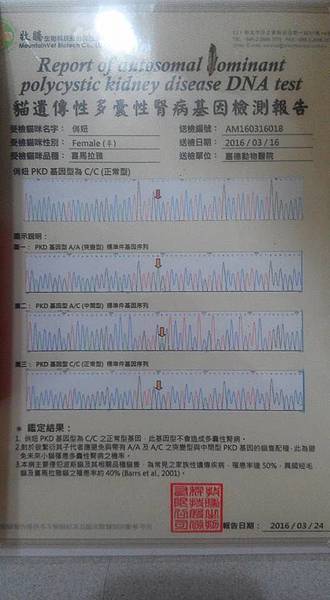 13241190_1728422164113022_5484673428522174597_n (1).jpg