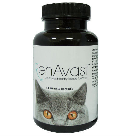 1234-1.jpg 1234-1.jpg