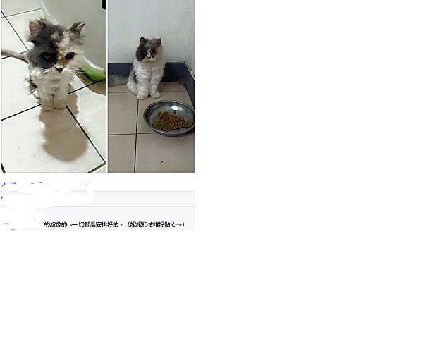 未命名tretert.png 未命名tretert.png