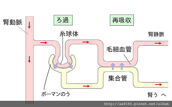 f24f4b203f9f03742f8b968eef2fd8ab.png f24f4b203f9f03742f8b968eef2fd8ab.png