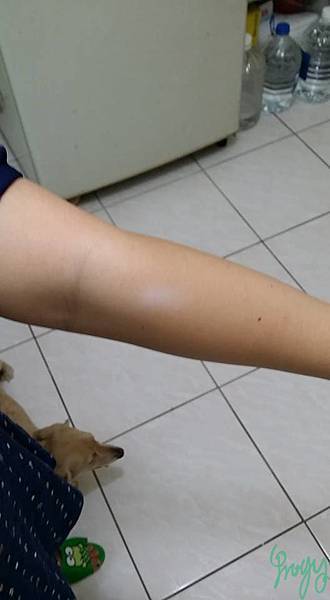 13332958_1181888891830700_9141848011577656669_n.jpg 試用