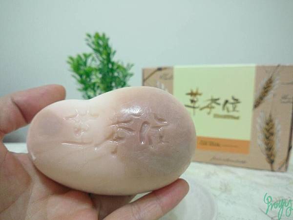 07.jpg 試用