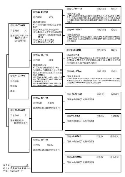 2011-223973血統書.jpg