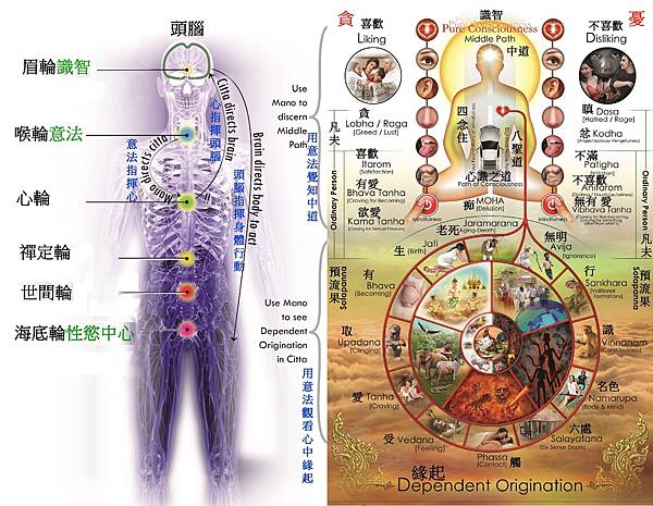 fig-chinese.jpg