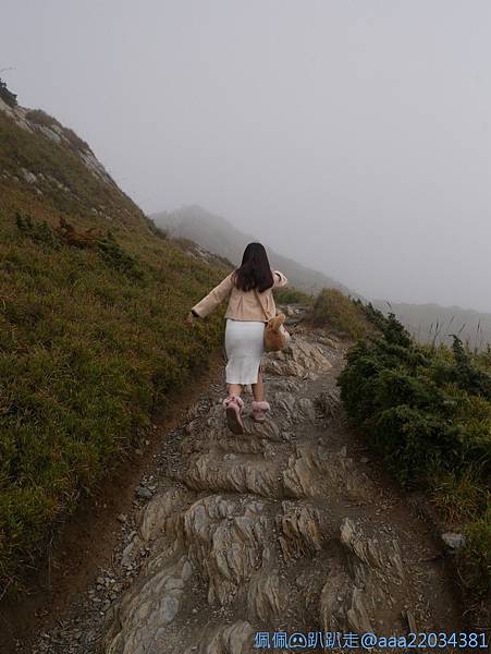 line_261360528256192_结果.jpg line_261360528256192_结果.jpg