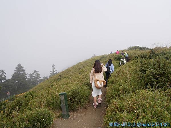 line_261490644951099_结果.jpg line_261490644951099_结果.jpg