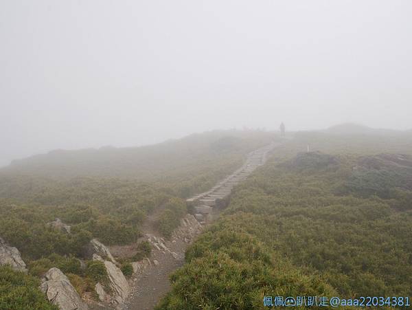 line_261570579631465_结果.jpg line_261570579631465_结果.jpg