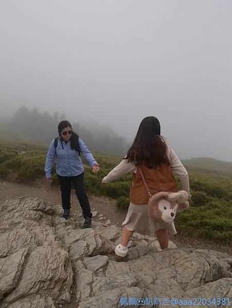 line_261893300684734_结果.jpg line_261893300684734_结果.jpg