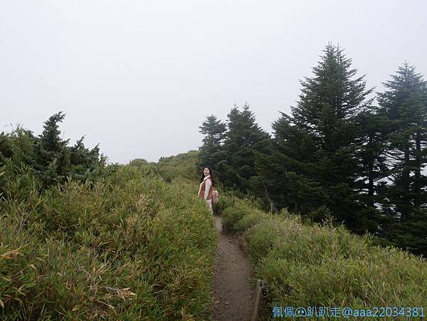 line_261935352772935_结果.jpg line_261935352772935_结果.jpg