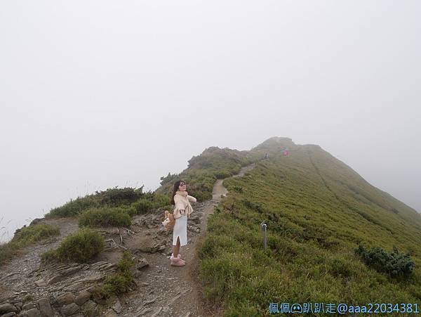 line_261940051281008_结果.jpg line_261940051281008_结果.jpg