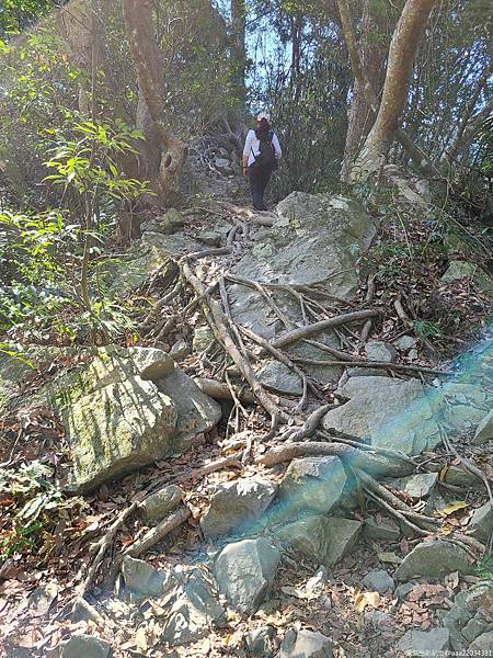 20210225_091814_NAUATK_结果.jpg 20210225_091814_NAUATK_结果.jpg