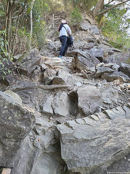 20210225_092049_VpdfrA_结果.jpg 20210225_092049_VpdfrA_结果.jpg