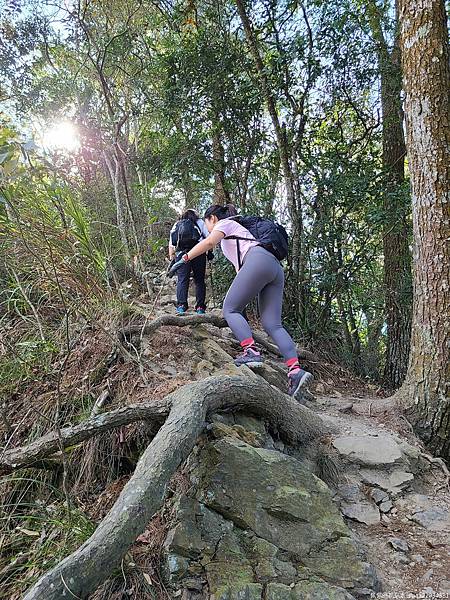 20210225_092628_mSUvAU_结果.jpg 20210225_092628_mSUvAU_结果.jpg