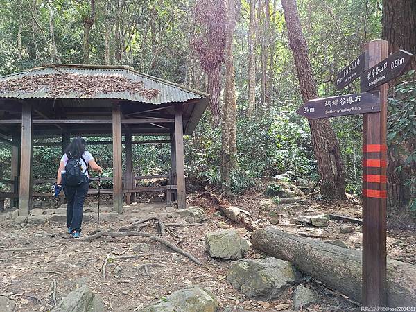 20210225_100836_ajYOow_结果.jpg 20210225_100836_ajYOow_结果.jpg