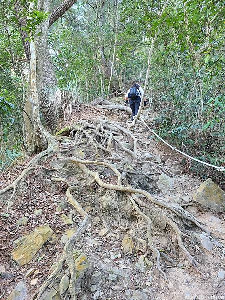 20210225_093012_lptraG_结果.jpg 20210225_093012_lptraG_结果.jpg