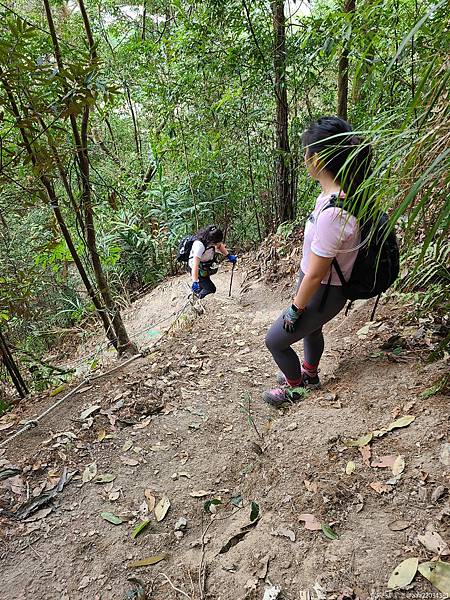 20210225_103509_PopVkc_结果.jpg 20210225_103509_PopVkc_结果.jpg