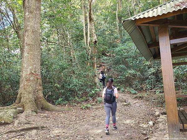 20210225_102113_YnITfB_结果.jpg 20210225_102113_YnITfB_结果.jpg