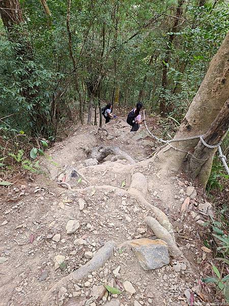 20210225_103953_xtWOcY_结果.jpg 20210225_103953_xtWOcY_结果.jpg