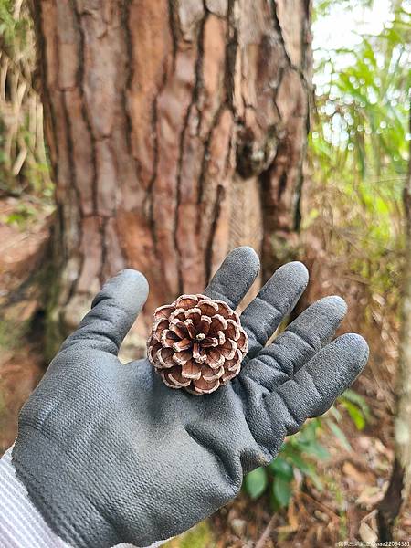 20210225_105743_eacSvn_结果.jpg 20210225_105743_eacSvn_结果.jpg