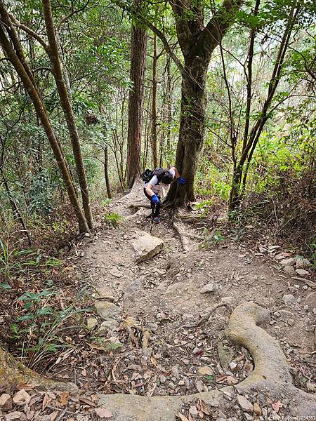 20210225_105316_UgXHbu_结果.jpg 20210225_105316_UgXHbu_结果.jpg